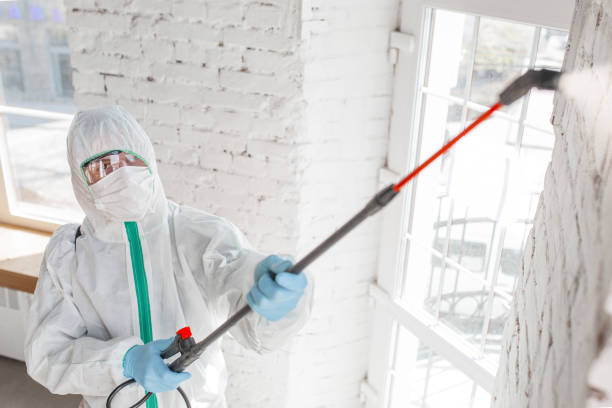Best Asbestos and Lead Testing During Mold Inspection  in Druid Hills, GA