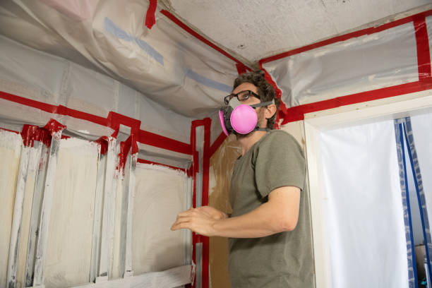 Best Emergency Mold Remediation  in Druid Hills, GA