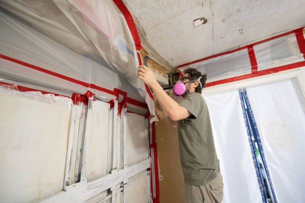 Best Post-Construction Mold Inspection  in Druid Hills, GA